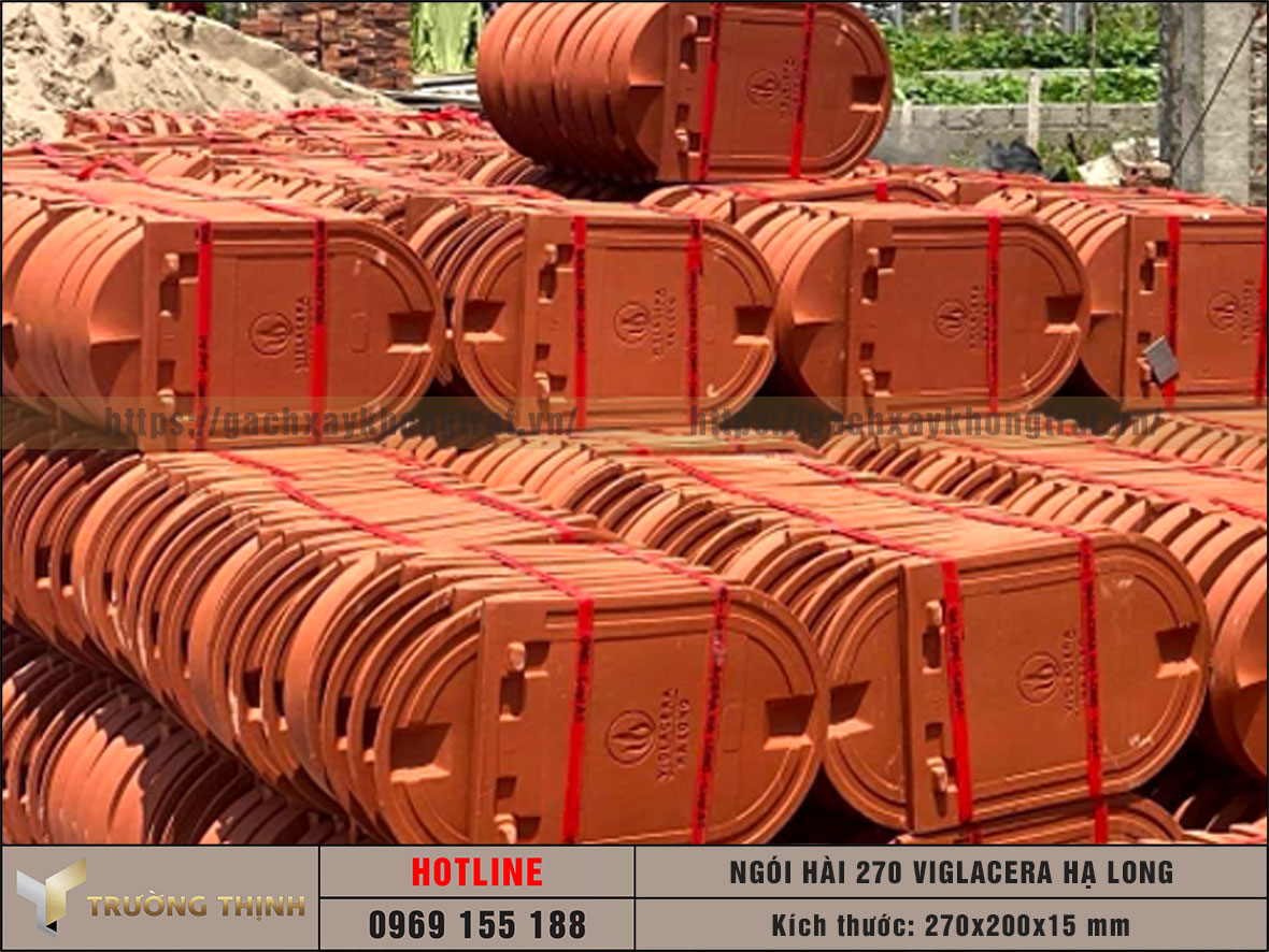 Ngói hài 270 Viglacera Hạ Long