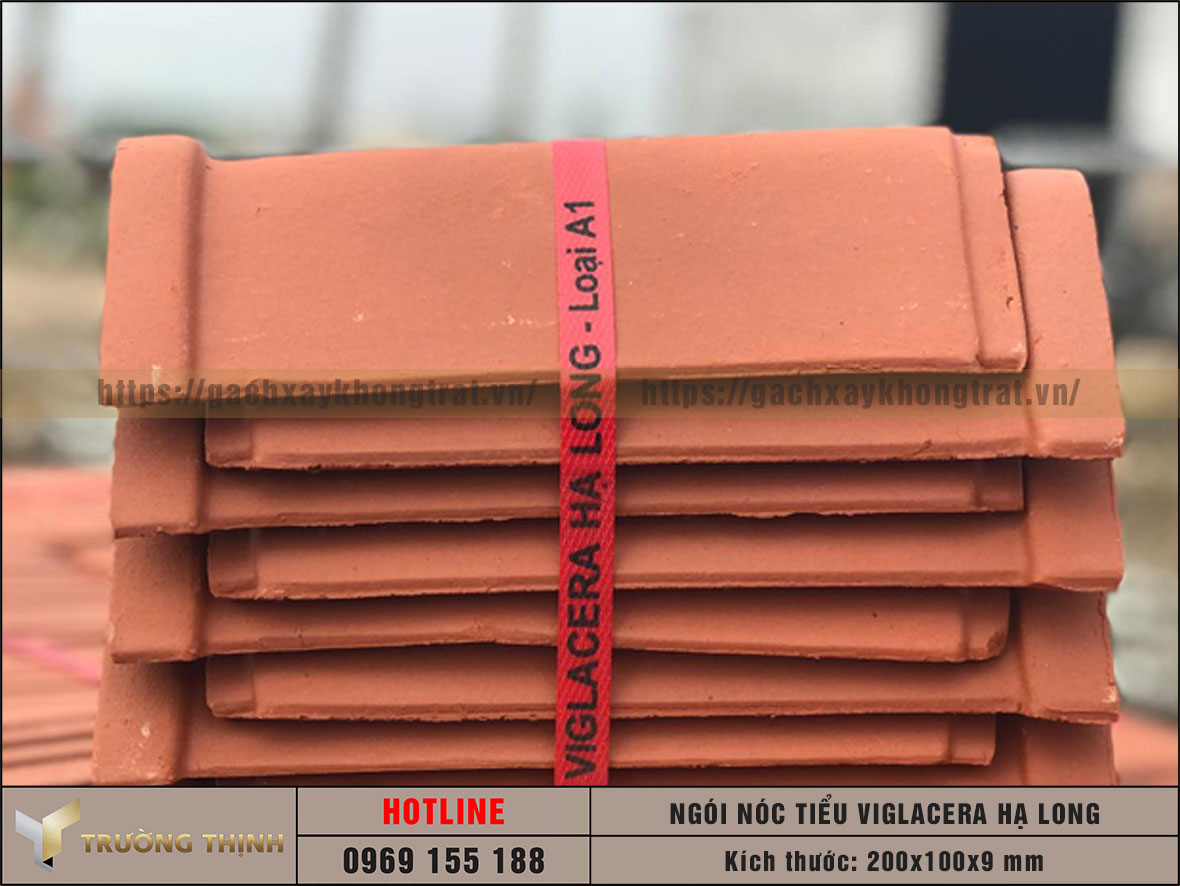 Ngói nóc tiểu Viglacera Hạ Long