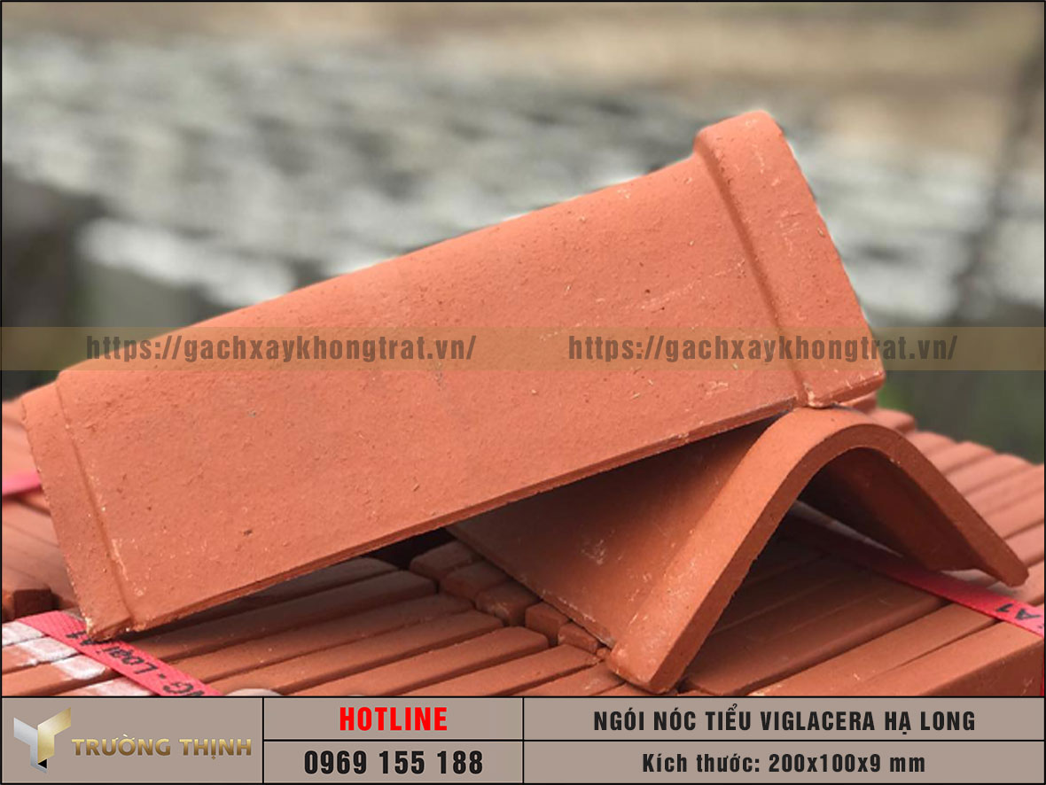 Ngói nóc tiểu Viglacera Hạ Long giá rẻ
