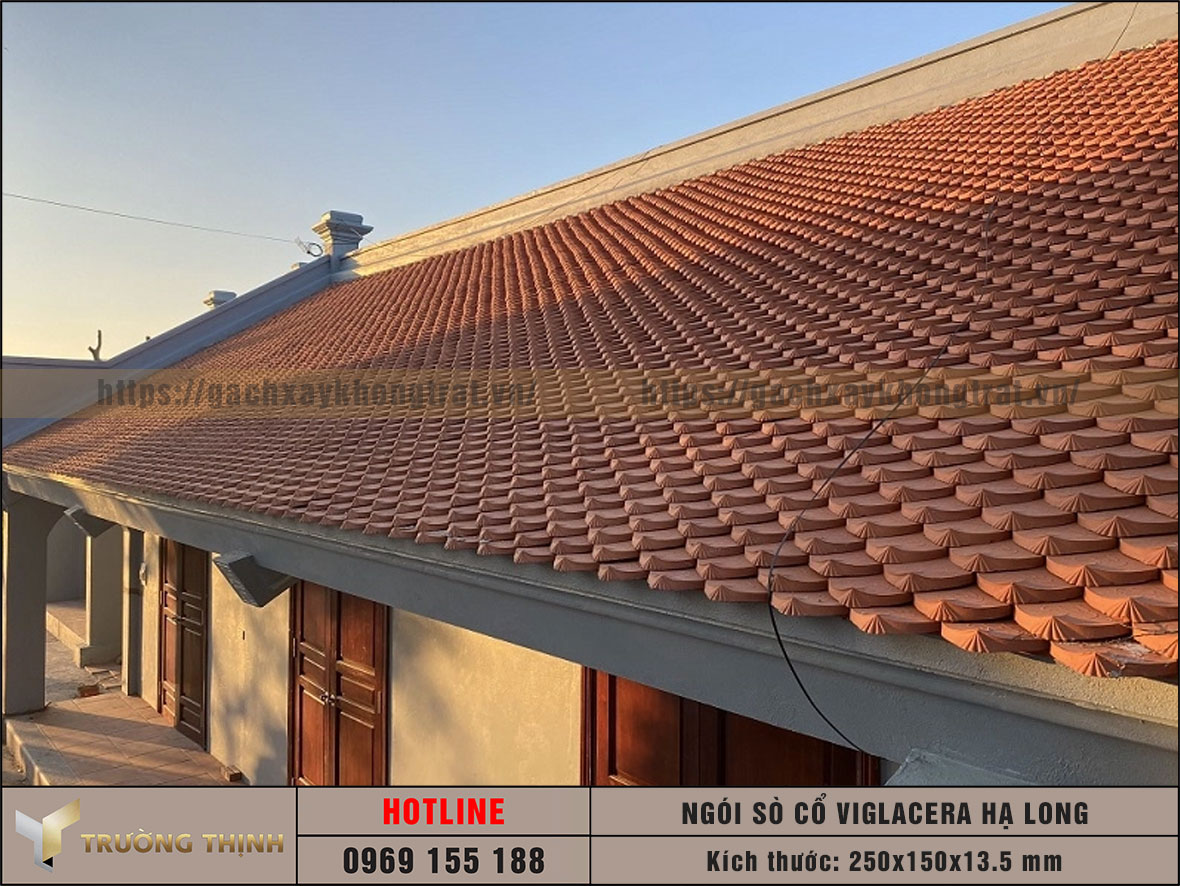 Ngói sò cổ Viglacera Hạ Long