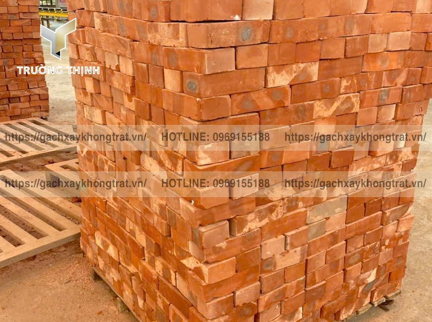Hướng Dẫn Chọn Mua Gạch Không Trát Chất Lượng & Tối Ưu Chi Phí | Trường Thịnh