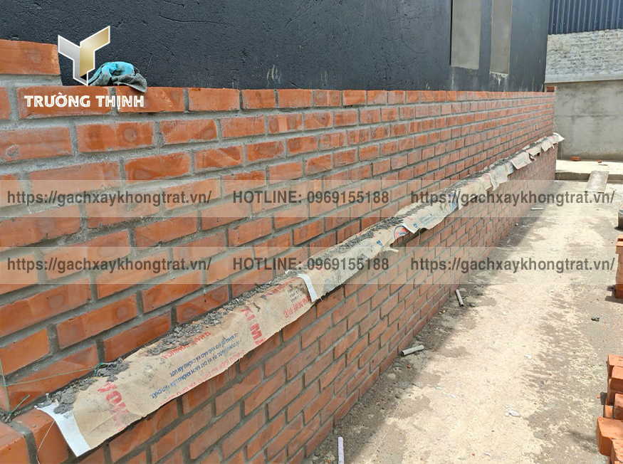 Hướng Dẫn Chọn Mua Gạch Không Trát Chất Lượng & Tối Ưu Chi Phí | Trường Thịnh