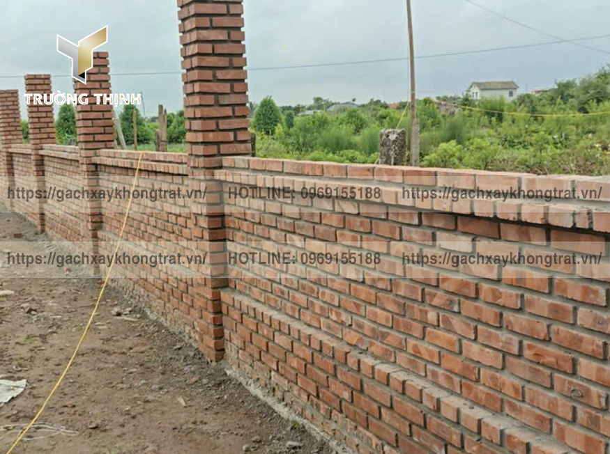 Hướng Dẫn Chọn Mua Gạch Không Trát Chất Lượng & Tối Ưu Chi Phí | Trường Thịnh