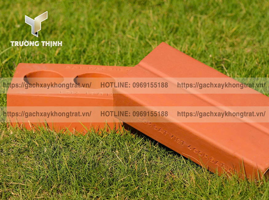 Gạch đặc và gạch lỗ xây không trát: Phân tích cấu tạo, ứng dụng, đặc điểm từng loại
