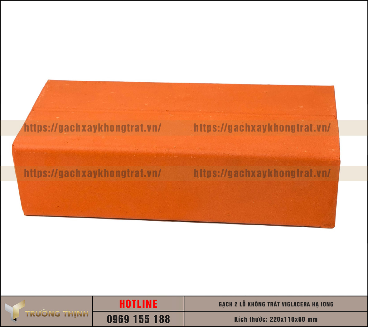 Review mẫu gạch không trát 2 lỗ Viglacera Hạ Long – Đỉnh cao của kiến trúc mộc mạc và bền vững