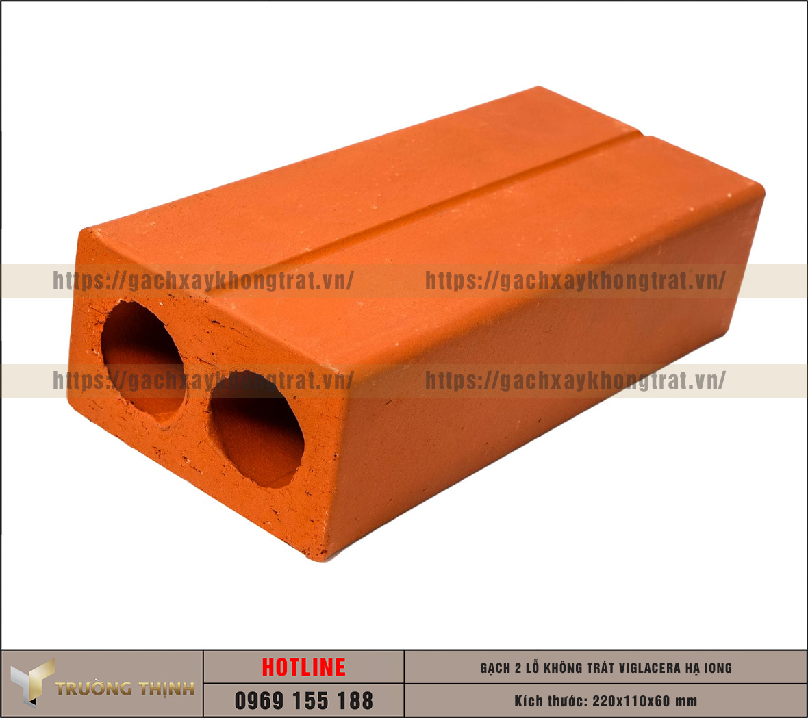 Review mẫu gạch không trát 2 lỗ Viglacera Hạ Long – Đỉnh cao của kiến trúc mộc mạc và bền vững