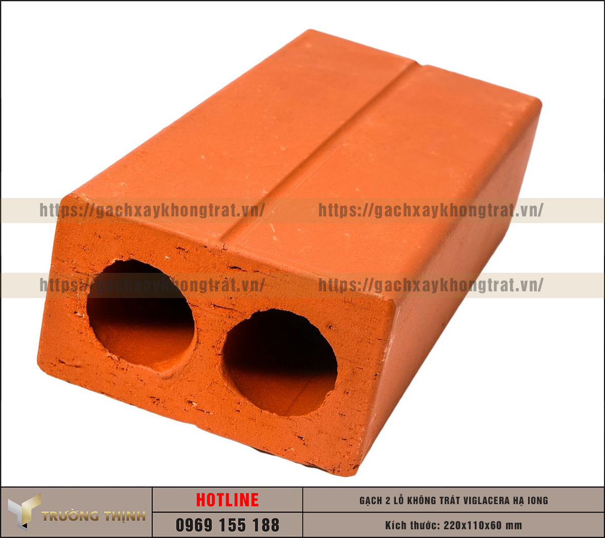 Review mẫu gạch không trát 2 lỗ Viglacera Hạ Long – Đỉnh cao của kiến trúc mộc mạc và bền vững