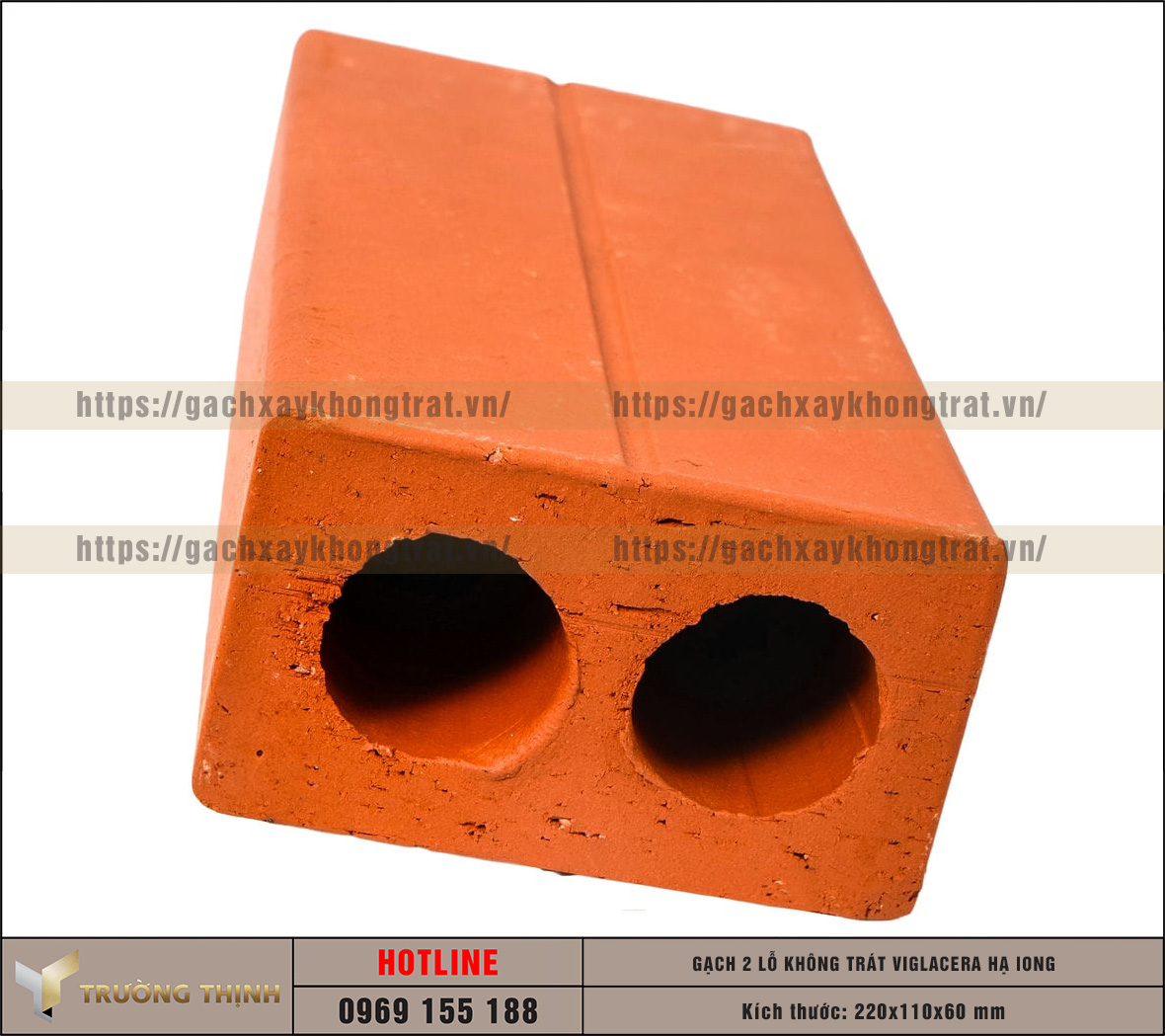 Review mẫu gạch không trát 2 lỗ Viglacera Hạ Long – Đỉnh cao của kiến trúc mộc mạc và bền vững