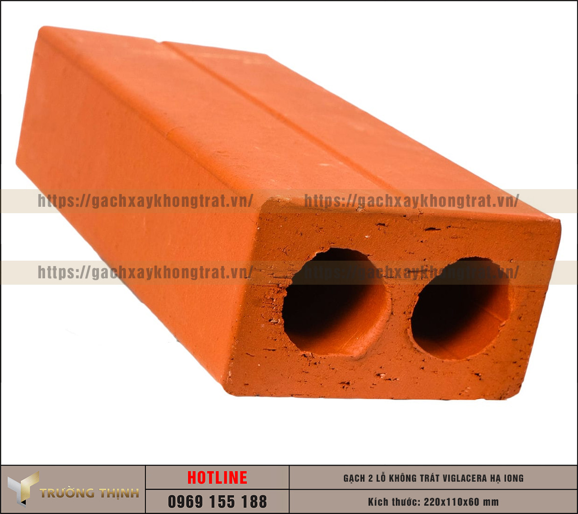 Review mẫu gạch không trát 2 lỗ Viglacera Hạ Long – Đỉnh cao của kiến trúc mộc mạc và bền vững