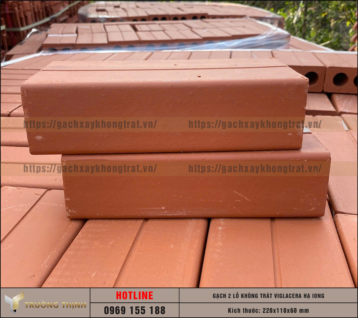 Review mẫu gạch không trát 2 lỗ Viglacera Hạ Long – Đỉnh cao của kiến trúc mộc mạc và bền vững