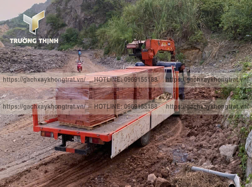 So Sánh Gạch Xây Không Trát Giếng Đáy & Viglacera Hạ Long: Kỹ Thuật, Kinh Tế & Lựa Chọn Tối Ưu