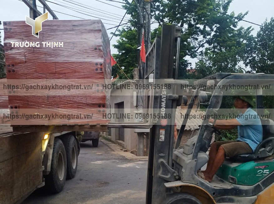 So Sánh Gạch Xây Không Trát Giếng Đáy & Viglacera Hạ Long: Kỹ Thuật, Kinh Tế & Lựa Chọn Tối Ưu