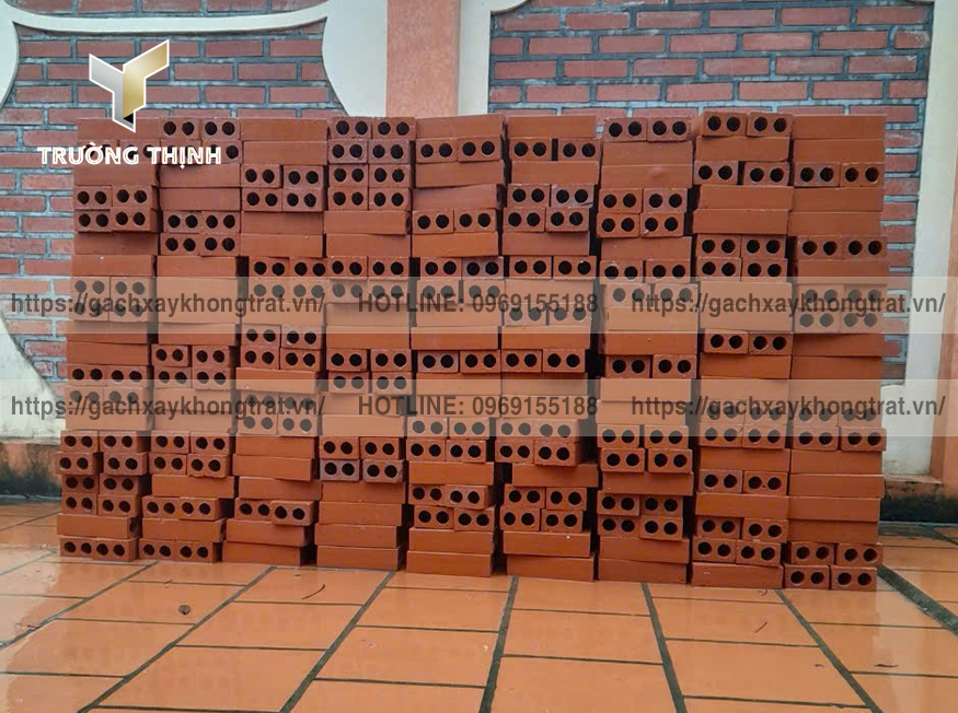 So Sánh Gạch Xây Không Trát Giếng Đáy & Viglacera Hạ Long: Kỹ Thuật, Kinh Tế & Lựa Chọn Tối Ưu