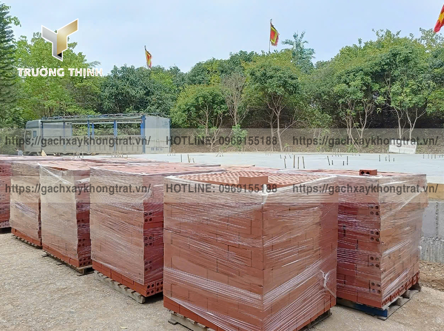   So Sánh Gạch Xây Không Trát Giếng Đáy & Viglacera Hạ Long: Kỹ Thuật, Kinh Tế & Lựa Chọn Tối Ưu