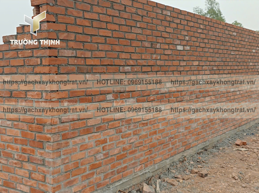 So sánh gạch không trát của các thương hiệu hàng đầu - Trường Thịnh