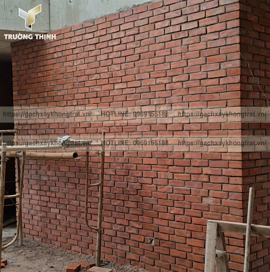 Gạch đặc xây tường không trát: Phân tích chi tiết các loại gạch từ A-Z | Trường Thịnh Group