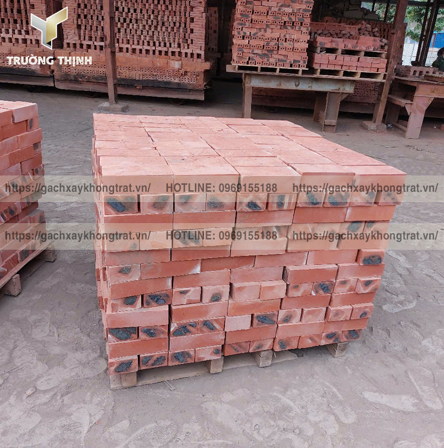 Gạch đặc xây tường không trát: Phân tích chi tiết các loại gạch từ A-Z