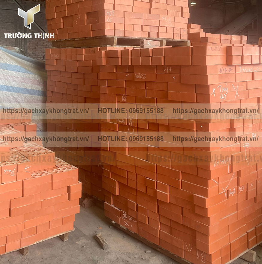 Gạch 11 Lỗ Xây Tường Không Trát: Giải Pháp Hoàn Hảo Cho Công Trình Hiện Đại – Trường Thịnh Group