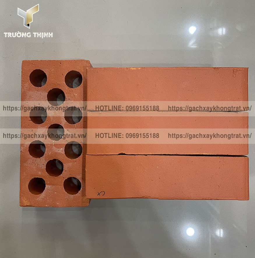 Gạch 11 Lỗ Xây Tường Không Trát: Giải Pháp Hoàn Hảo Cho Công Trình Hiện Đại – Trường Thịnh Group