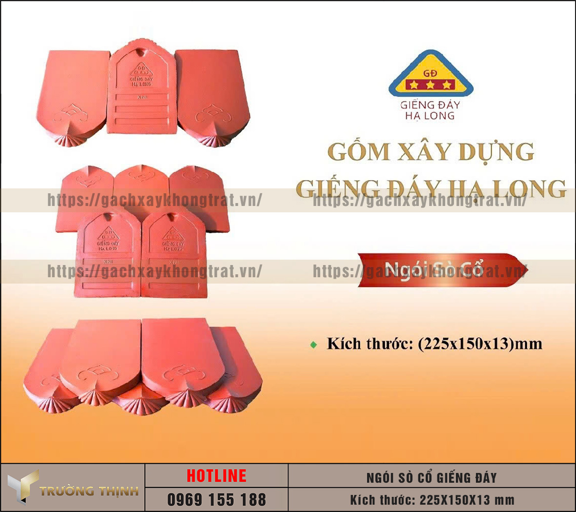   Ngói sò cổ 225x150x13 Giếng Đáy Hạ Long: Đặc điểm & Báo giá tốt nhất | Trường Thịnh Group