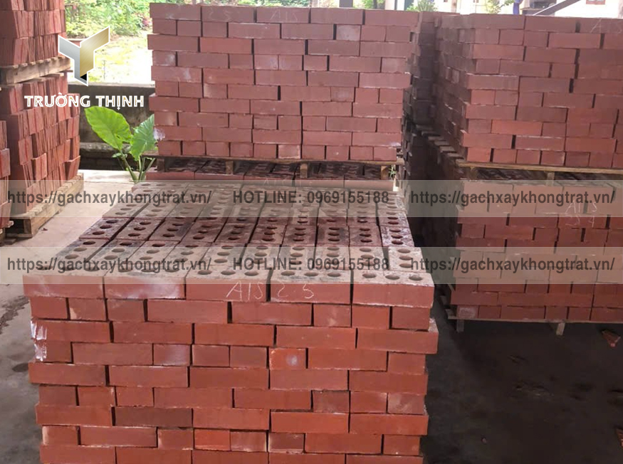 Ứng dụng Gạch Đông Anh Gạch Xây Không Trát trong Kiến Trúc Hiện Đại – Giải Pháp Thẩm Mỹ và Bền Vững