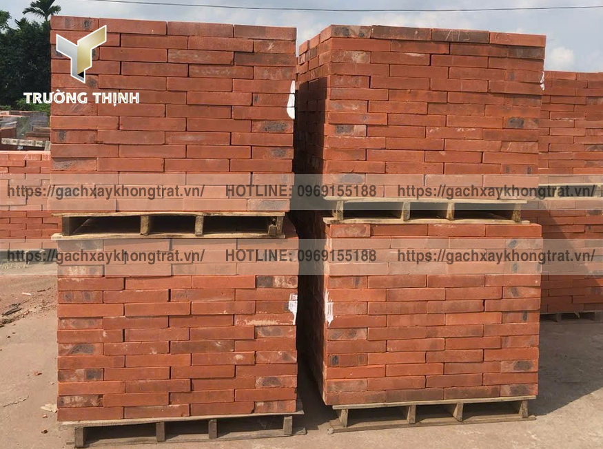 Ứng dụng Gạch Đông Anh Gạch Xây Không Trát trong Kiến Trúc Hiện Đại – Giải Pháp Thẩm Mỹ và Bền Vững