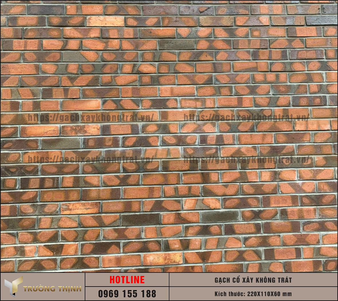 Ứng dụng gạch cổ xây không trát 220x110x60 cho các công trình: Sự kết hợp hoàn hảo giữa nét cổ điển và chất lượng hiện đại