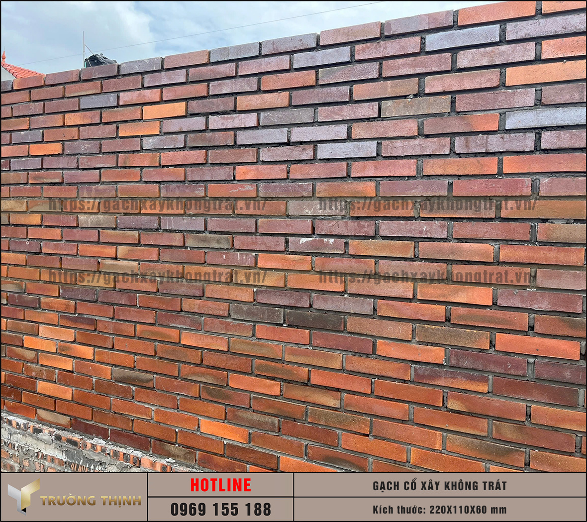 Ứng dụng gạch cổ xây không trát 220x110x60 cho các công trình: Sự kết hợp hoàn hảo giữa nét cổ điển và chất lượng hiện đại