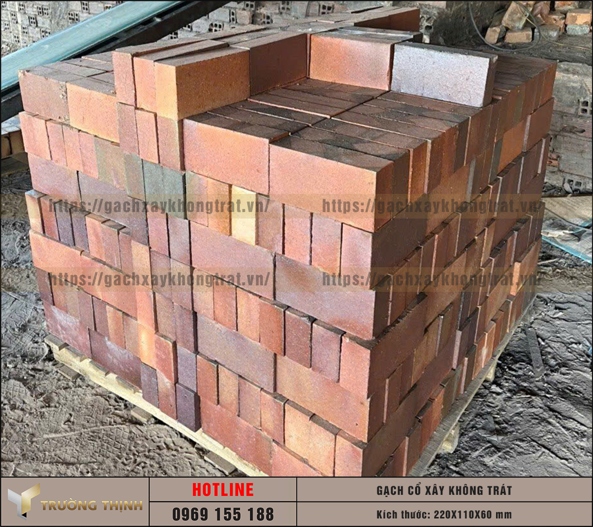 Ứng dụng Gạch Cổ Xây Không Trát 220x110x60: Xu Hướng Kiến Trúc Bền Vững