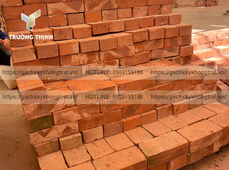 Ứng dụng gạch không trát Từ Sơn trong thi công tường rào, cổng vườn | Trường Thịnh Group