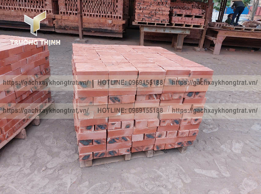 Vì sao gạch đặc xây không trát Thiện Chí 200x100x60 được ưa chuộng? | Trường Thịnh