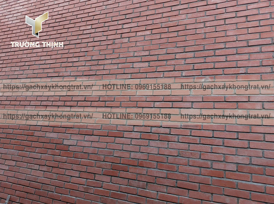 Vì sao gạch đặc xây không trát Thiện Chí 200x100x60 được ưa chuộng? | Trường Thịnh