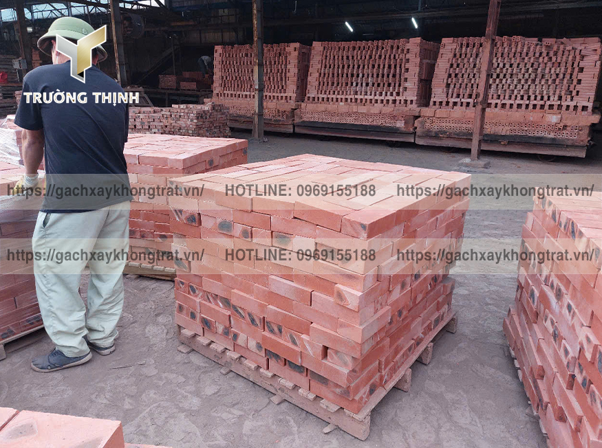 Vì sao gạch đặc xây không trát Thiện Chí 200x100x60 được ưa chuộng? | Trường Thịnh