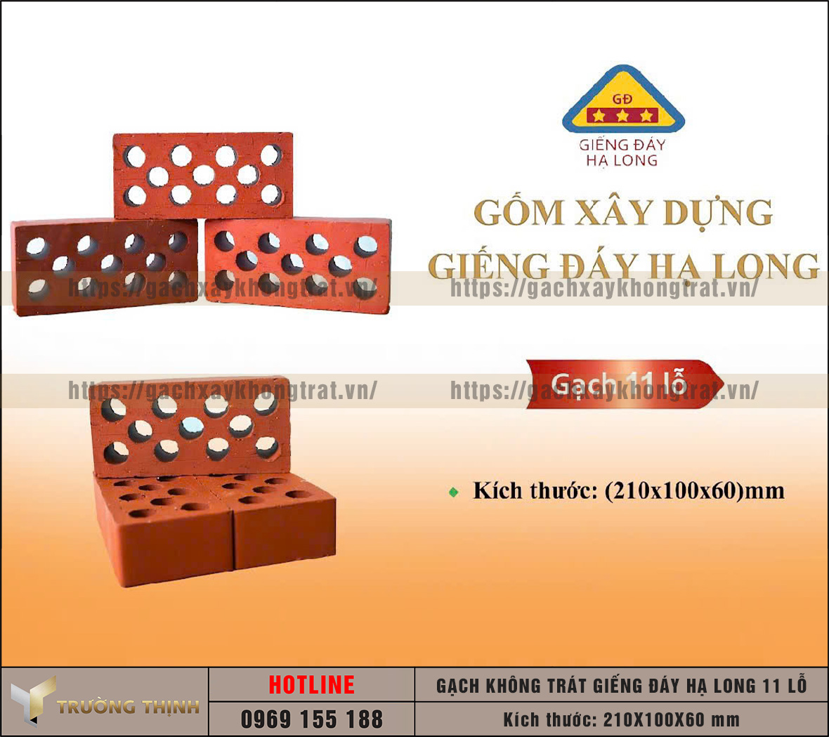 Vì sao nên chọn gạch xây không trát Giếng Đáy Hạ Long cho công trình hiện đại? | Trường Thịnh Group